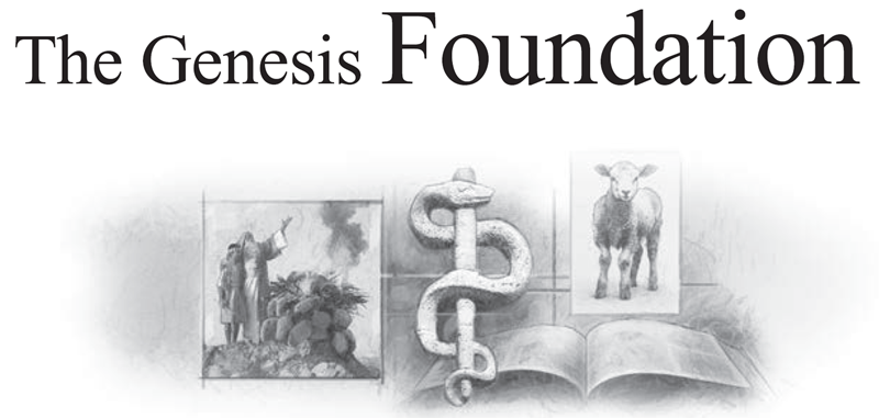 The Genesis Foundation